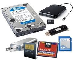 Ritridata Review: A Complete Data Recovery Solution for SSD, USB, and SD Cards.